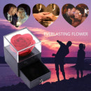 Rosa Eterna En Joyero y Collar TE AMO